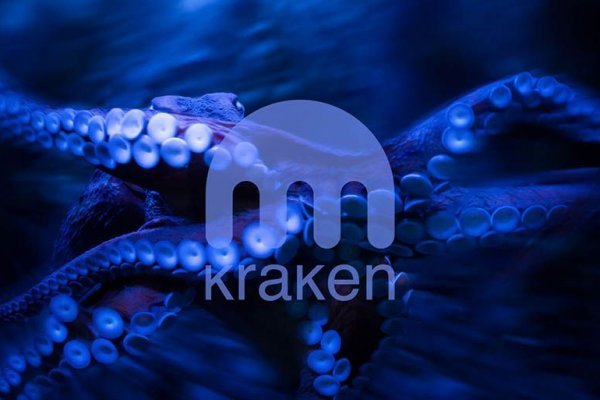 Мониторинг сайта kraken