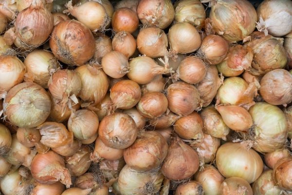 Кракен ссылка рабочая анион onion top